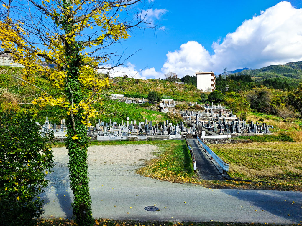 Cemetery View